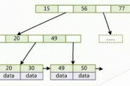 新手学习MySQL索引